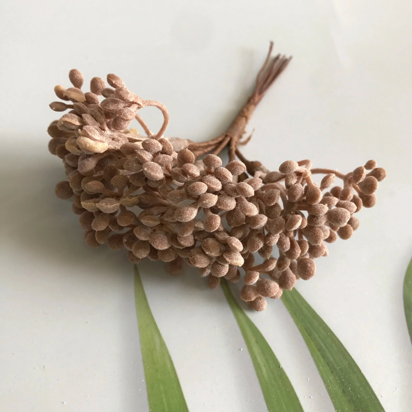 ديكور بايتس™ نباتات صناعية، زينة يدوية، نباتات مجففة، 5 غرام