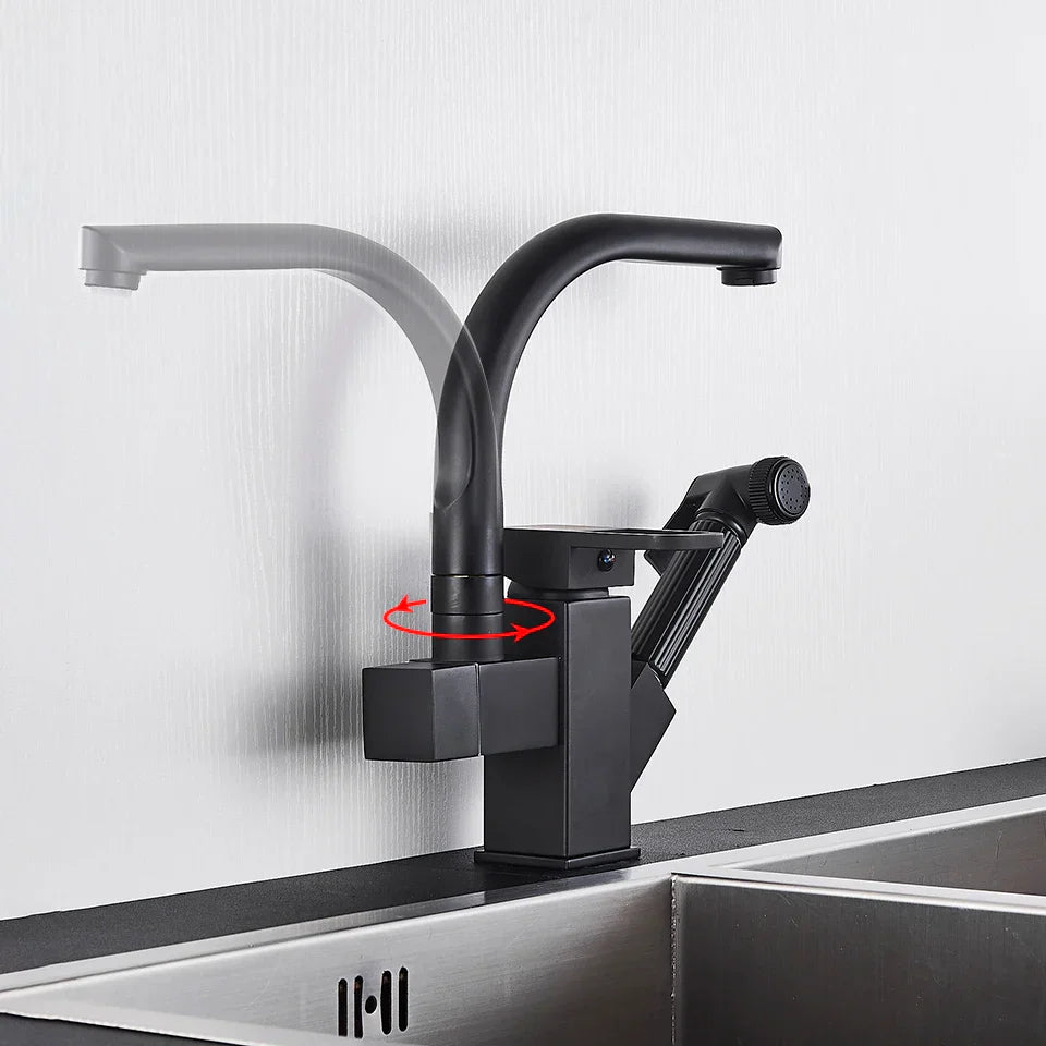 DecorBites™ Dual Spout Black Kitchen Faucet with Pull Out Spray Mixer
