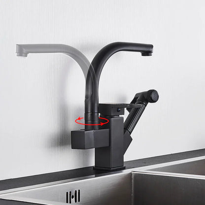 DecorBites™ Dual Spout Black Kitchen Faucet with Pull Out Spray Mixer