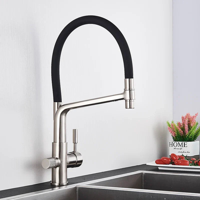 DecorBites™ Kitchen Faucet with Filtered Water, Dual Handle Hot Cold Mixer Taps