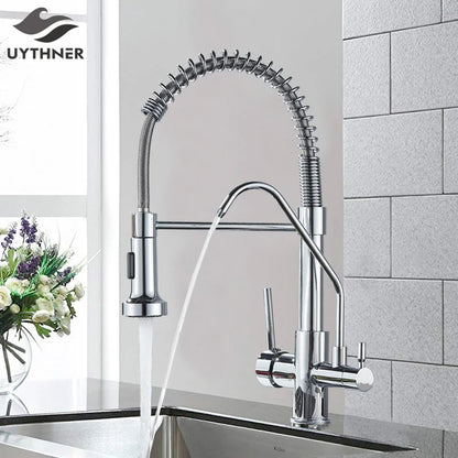 DecorBites™ Black Dual Handle Kitchen Faucet with Water Purification Feature, 360° Rotation