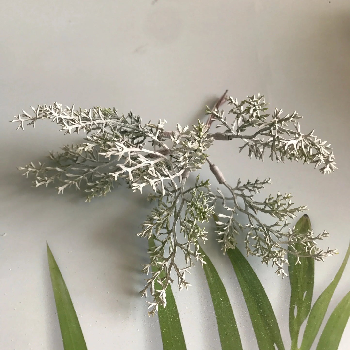 Paquete de estambres de bayas verdes DecorBites™ para decoración navideña y envoltorio de regalos DIY