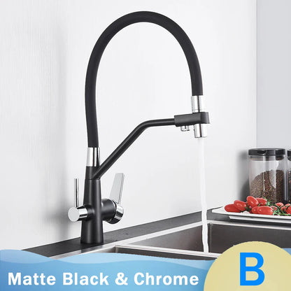 DecorBites™ Black 2-in-1 Pull Down Kitchen Faucet with Filtered Water