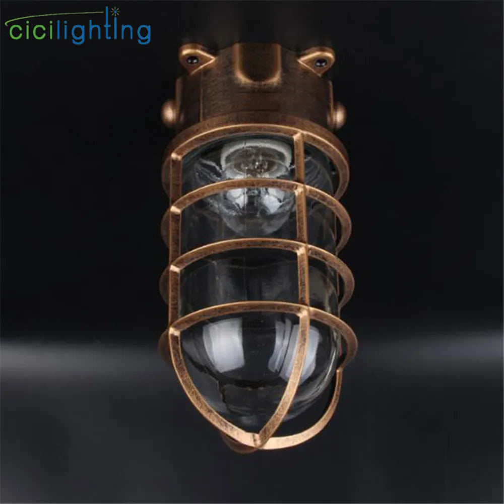 DecorBites™ Clear Glass Jar Ceiling Lamp for Bathroom Kitchen Outdoor - Waterproof Caged Mount