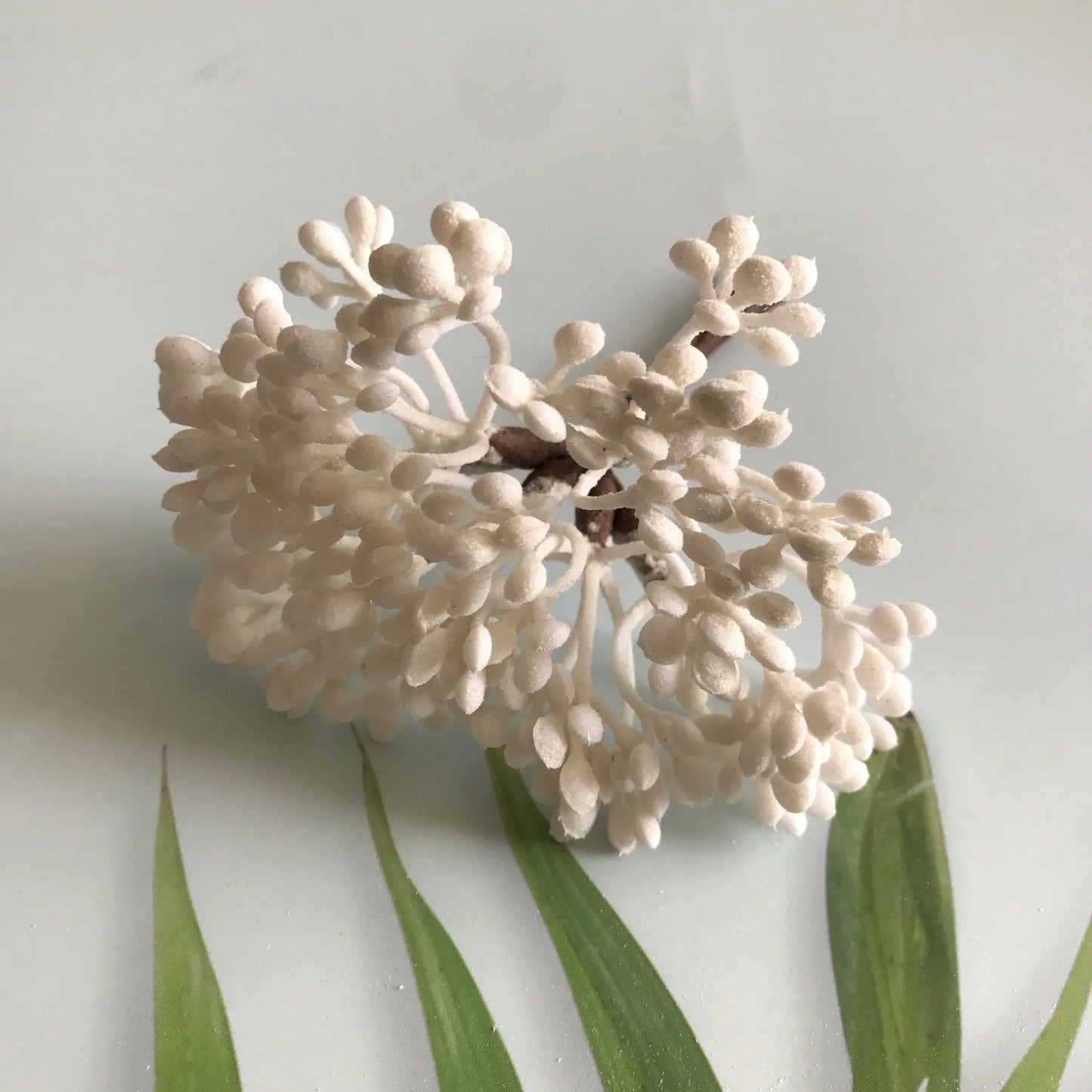 ديكور بايتس™ نباتات صناعية، زينة يدوية، نباتات مجففة، 5 غرام