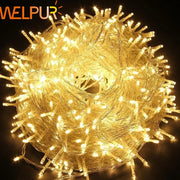 Outdoor LED Fairy Lights
