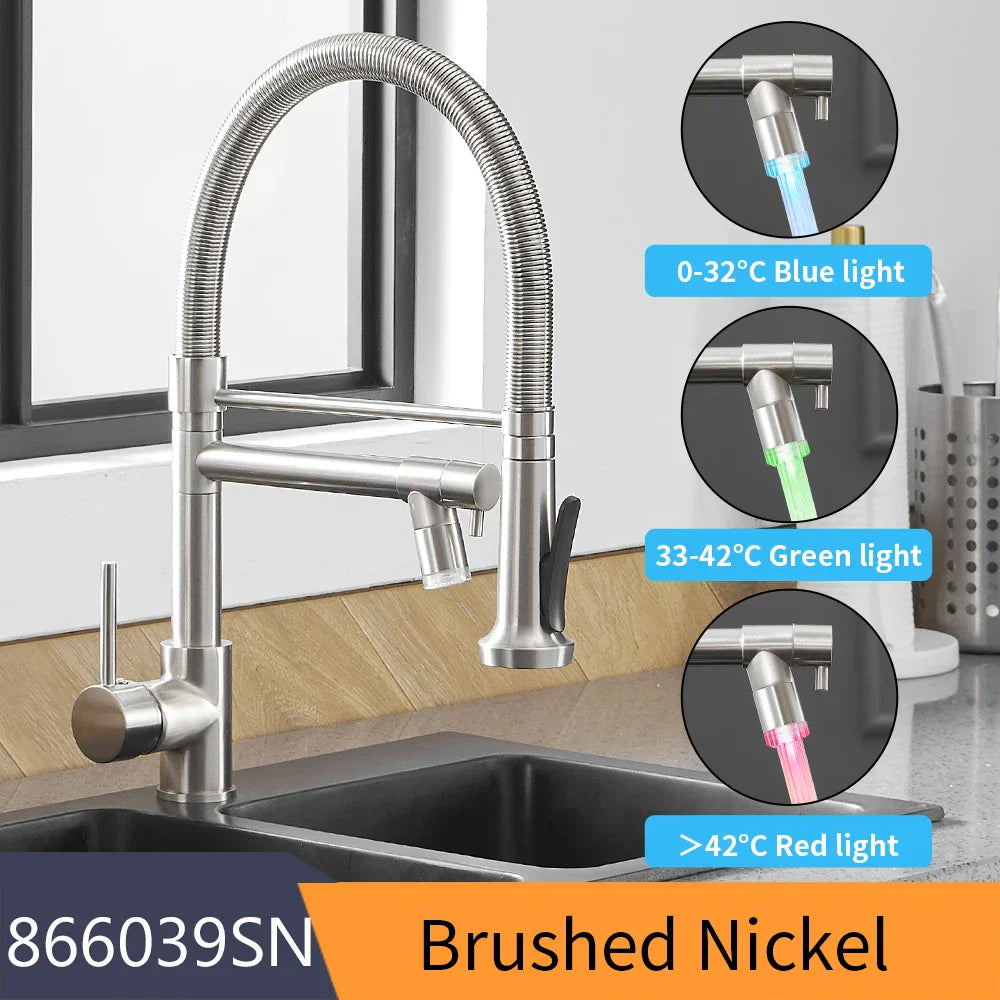 Black Dual Spout Faucet