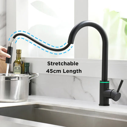 DecorBites™ LED Single Hole Kitchen Faucet with Pull Out Spout and Stream Sprayer