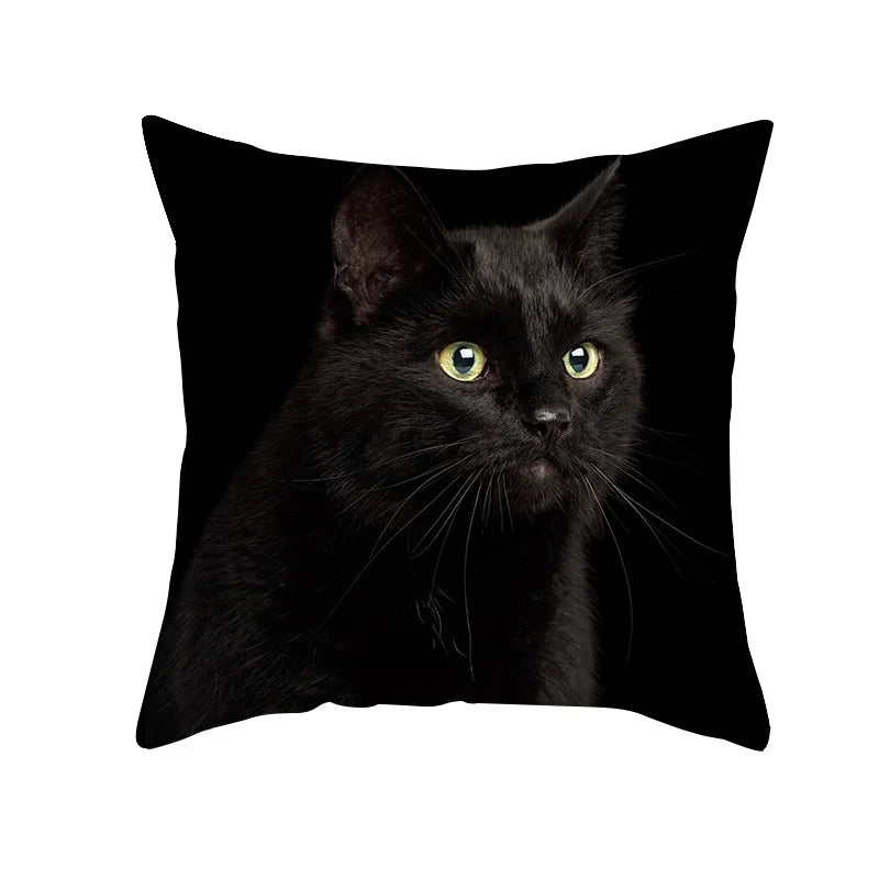 DecorBites™ Black Cat Pillowcases - Cute Kitty Animal Lover Cushion Cover
