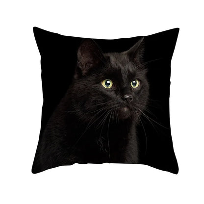 DecorBites™ Black Cat Pillowcases - Cute Kitty Animal Lover Cushion Cover