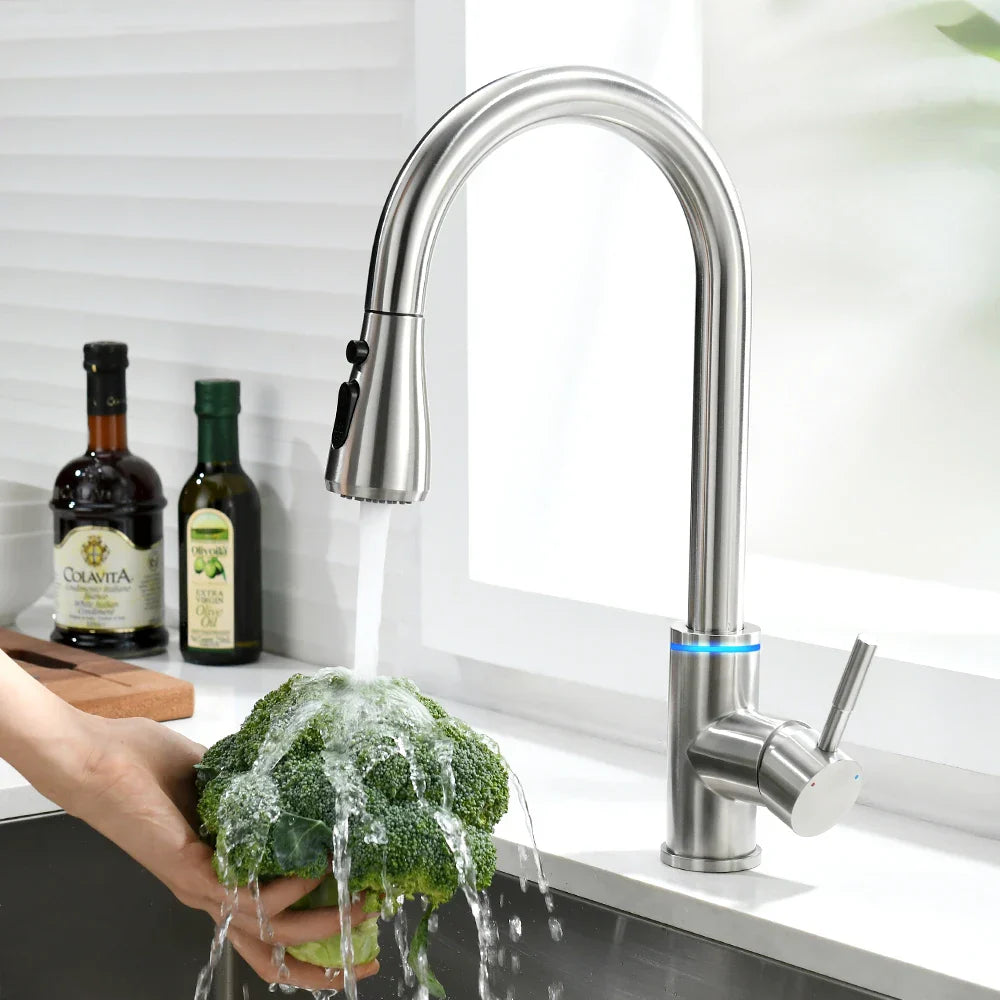 DecorBites™ LED Single Hole Kitchen Faucet with Pull Out Spout and Stream Sprayer