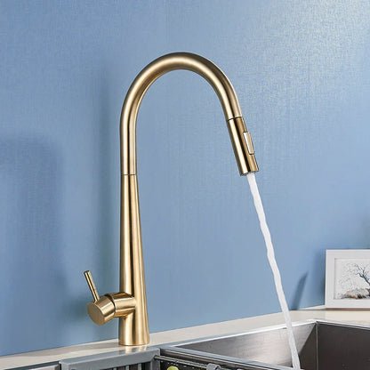 DecorBites™ Gold Swivel Kitchen Faucet with Pull Down Sprayer