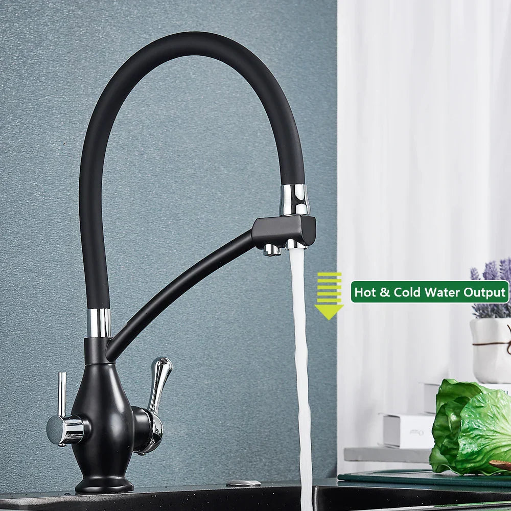 Decorbites™ Zweifachauslauf Schwarz Küchenarmatur mit Filter, Drehbarer Ziehbarer Düsenauslauf