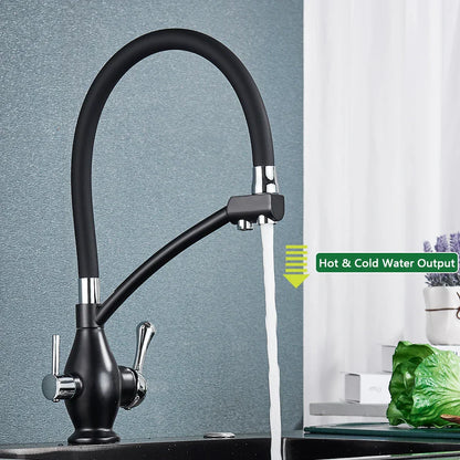 Decorbites™ Zweifachauslauf Schwarz Küchenarmatur mit Filter, Drehbarer Ziehbarer Düsenauslauf
