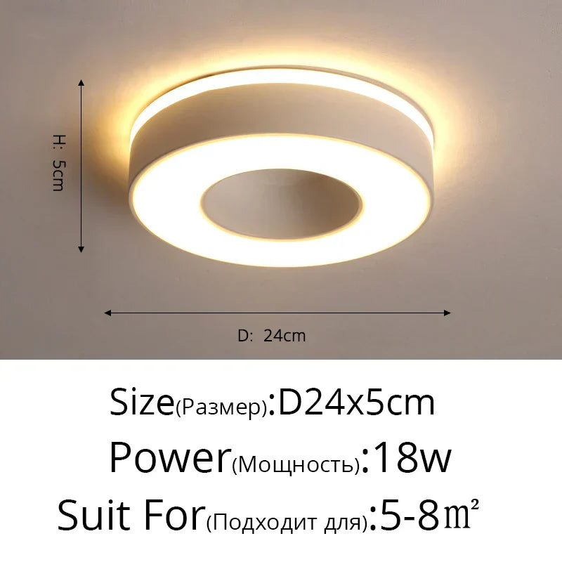 DecorBites™ LED Ceiling Light for Corridor Art Gallery Decoration in White or Black