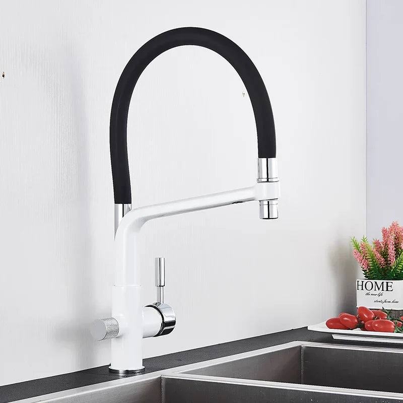 DecorBites™ Kitchen Faucet with Filtered Water, Dual Handle Hot Cold Mixer Taps