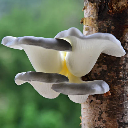 DecorBites™ Artificial Mushroom Fungus Hanging Tree Decor for Outdoor Gardens