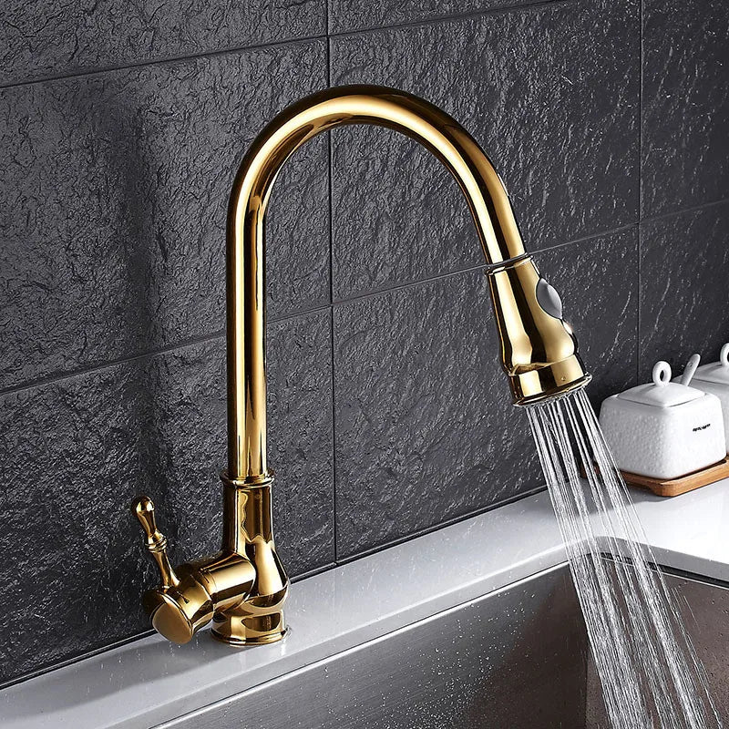 DecorBites™ Gold Kitchen Faucet Pull Out Swivel Water Mixer Tap Single Handle Sink