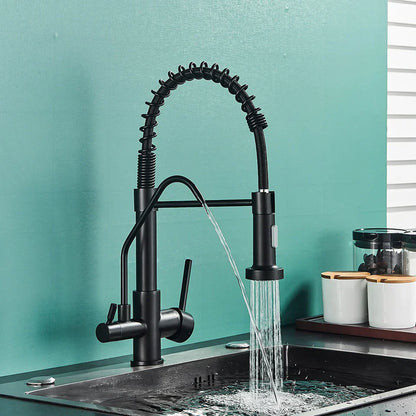 DecorBites™ Black Dual Handle Kitchen Faucet with Water Purification Feature, 360° Rotation