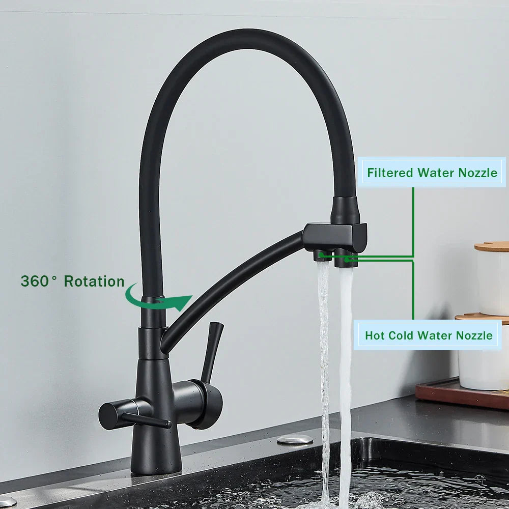 DecorBites™ Black 2-in-1 Pull Down Kitchen Faucet with Filtered Water