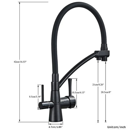 DecorBites™ Black 2-in-1 Pull Down Kitchen Faucet with Filtered Water