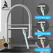 Black Dual Spout Faucet