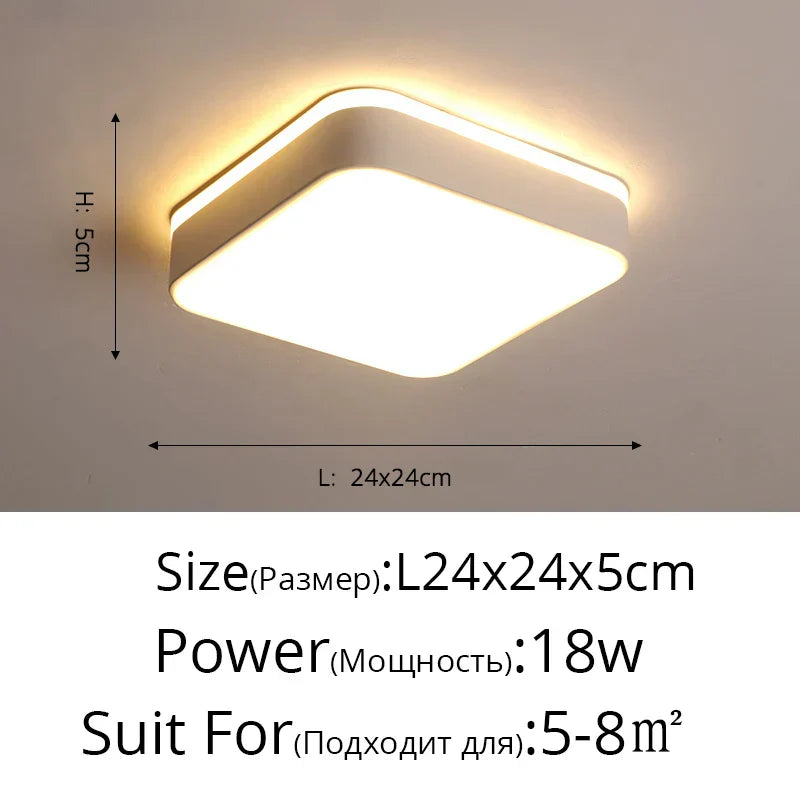 DecorBites™ LED Ceiling Light for Corridor Art Gallery Decoration in White or Black