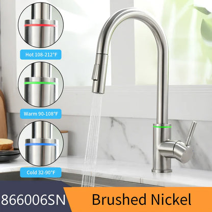 DecorBites™ LED Single Hole Kitchen Faucet with Pull Out Spout and Stream Sprayer