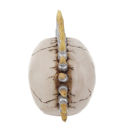 DecorBites™ Calavera de resina de 15 cm con forma de bala, estatua decorativa artesanal para Halloween