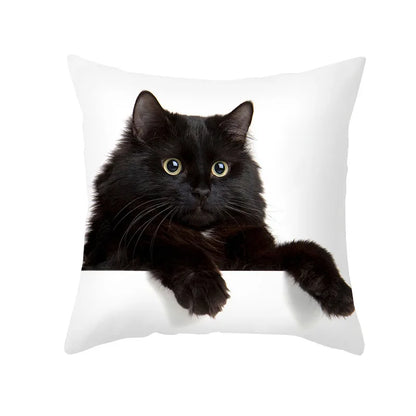 DecorBites™ Black Cat Pillowcases - Cute Kitty Animal Lover Cushion Cover