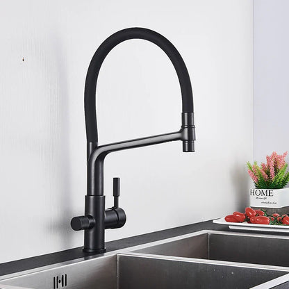 DecorBites™ Kitchen Faucet with Filtered Water, Dual Handle Hot Cold Mixer Taps