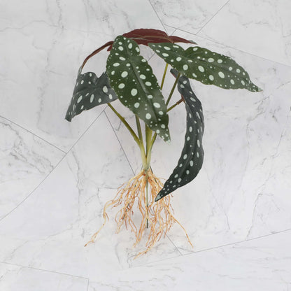 DecorBites™ Green Plant Wall Set for Indoor Decoration