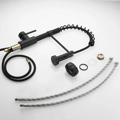 DecorBites™ Brush Brass Kitchen Faucet Single Lever Pull Out Spring Spout Mixer Tap