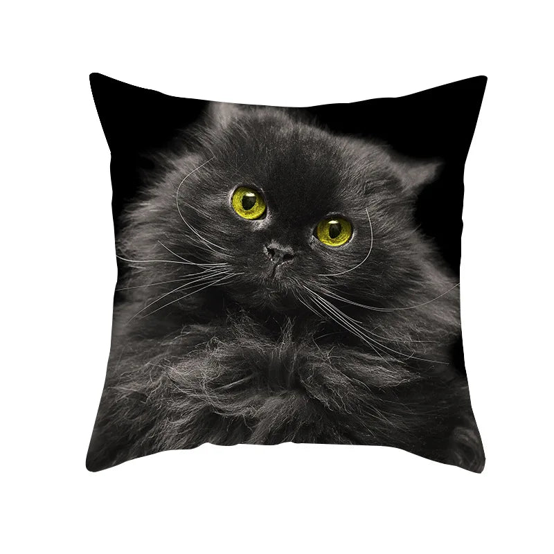 DecorBites™ Black Cat Pillowcases - Cute Kitty Animal Lover Cushion Cover