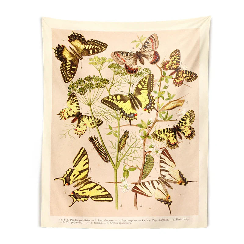 Vintage Butterfly Tapestry Wall Art Illustration Chart for Boho Decor by Decobites