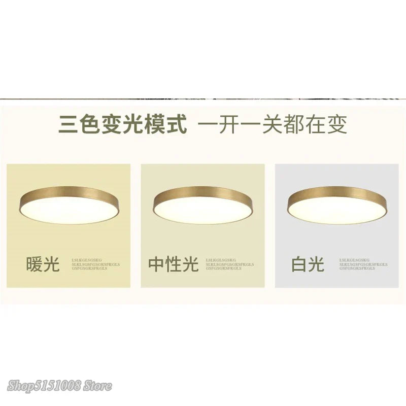 DecorBites™ Gold Acrylic LED Ceiling Light - Modern Ultra-Thin Surface, Nordic Design