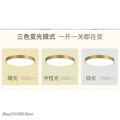 DecorBites™ Gold Acrylic LED Ceiling Light - Modern Ultra-Thin Surface, Nordic Design