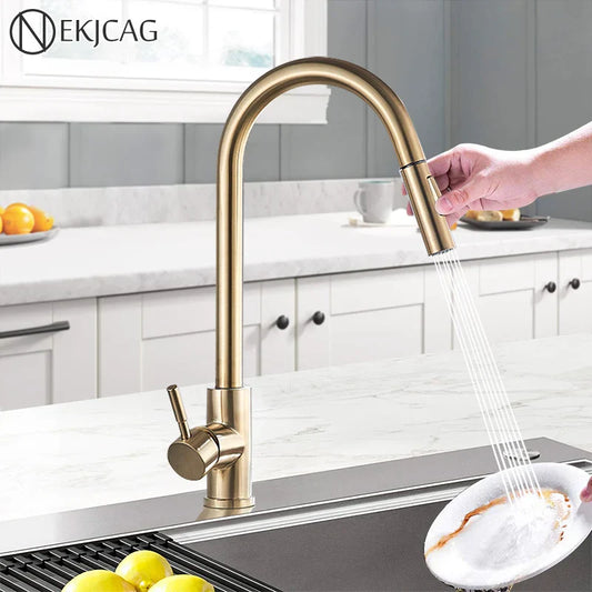 DecorBites™ Brushed Gold Kitchen Faucet with 360° Rotating Spout and Two Outlet Modes