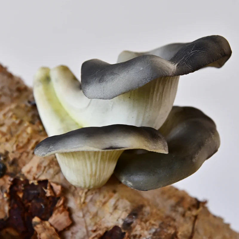 DecorBites™ Artificial Mushroom Fungus Hanging Tree Decor for Outdoor Gardens