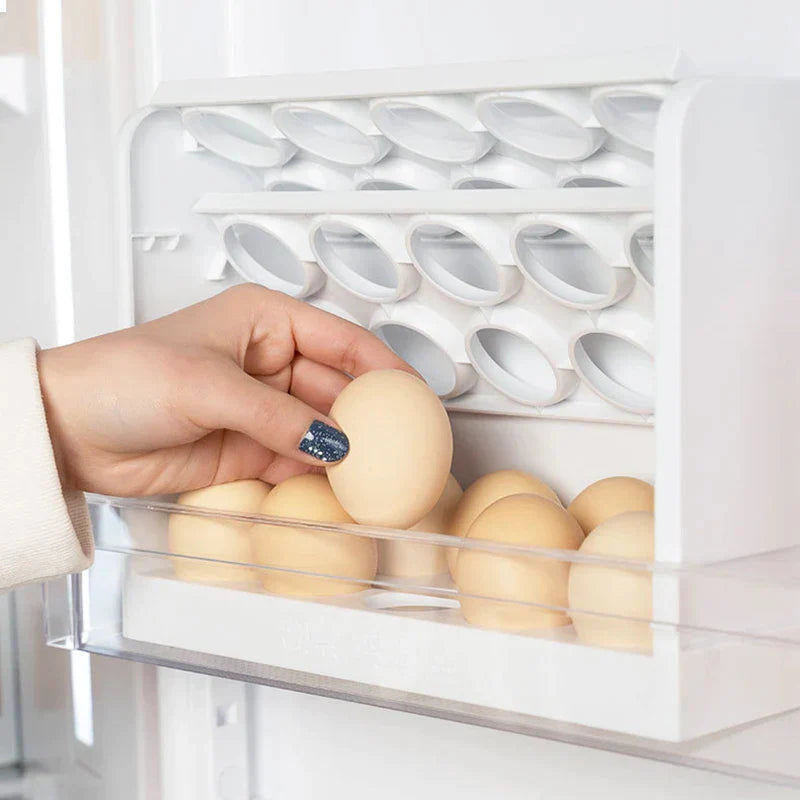 DecorBites™ Egg Storage Rack - Practical Refrigerator Organizer Box for Kitchen