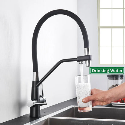 DecorBites™ Black 2-in-1 Pull Down Kitchen Faucet with Filtered Water
