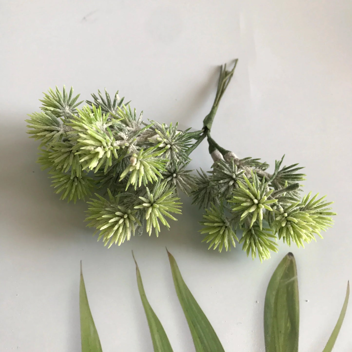 ديكوربايتس™ - مزيج من 6 قطع من الزهور المجففة لصنع المجوهرات وصنع الشموع العطرية