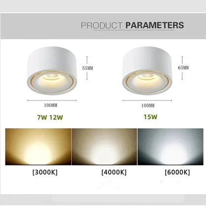 IWPL LED Round Surface Downlights