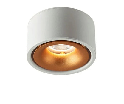 IWPL LED Round Surface Downlights