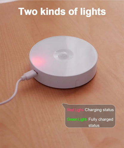 LED Motion Sensor Night Light