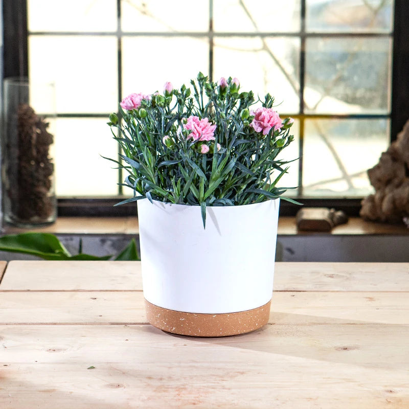 Large Circular Plastic Plant Pot