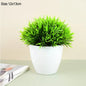 Lifelike Mini Green Bonsai Plant