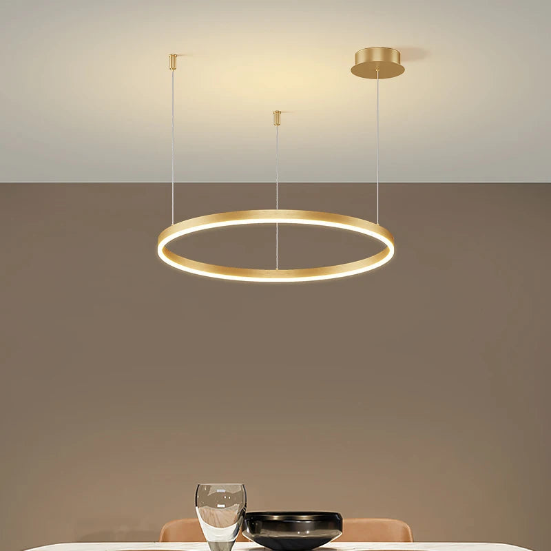 MAVELAIC Modern LED Circular Chandelier