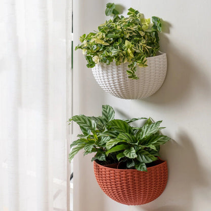 MOONBIFFY Wall-Mounted Plastic Flowerpot