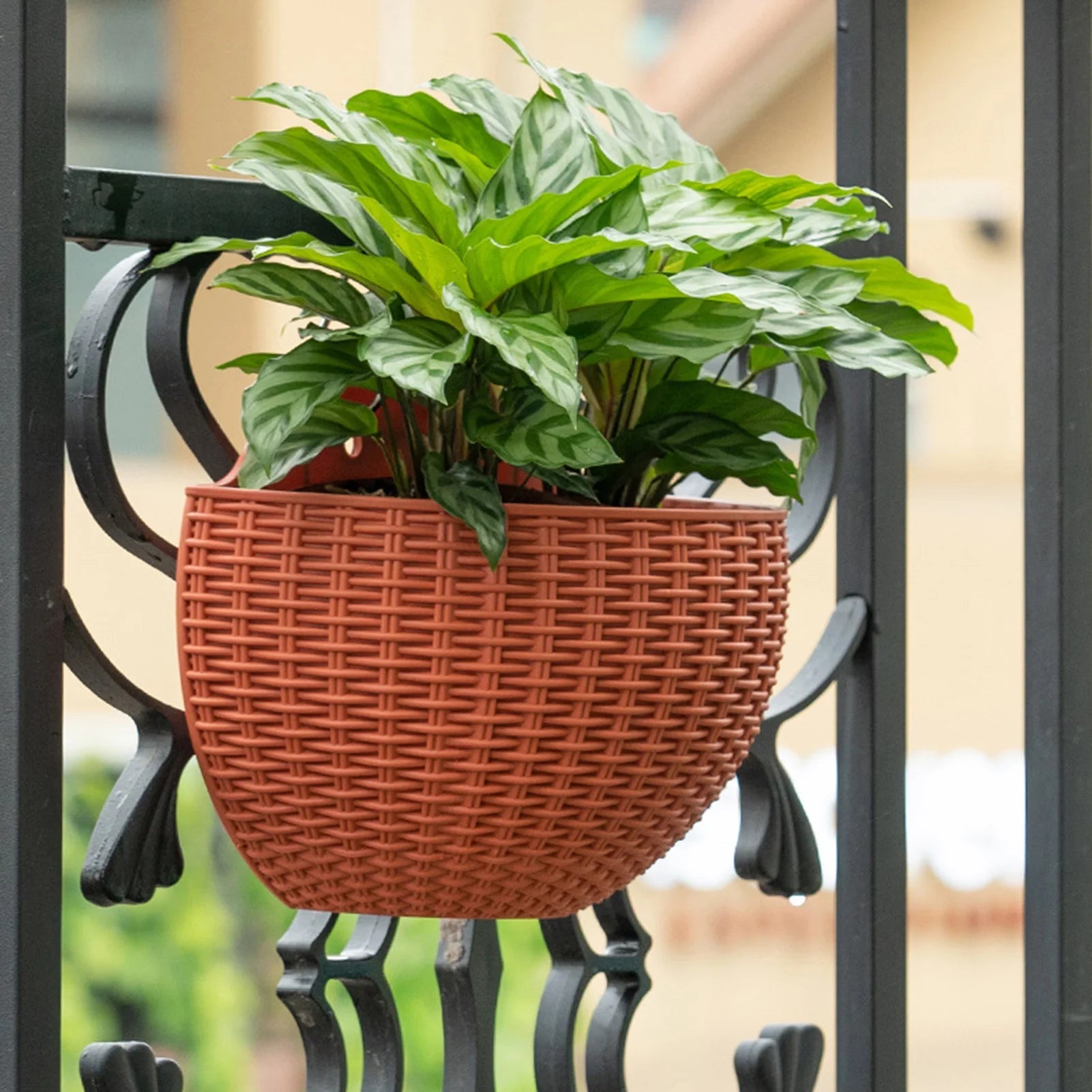 MOONBIFFY Wall-Mounted Plastic Flowerpot